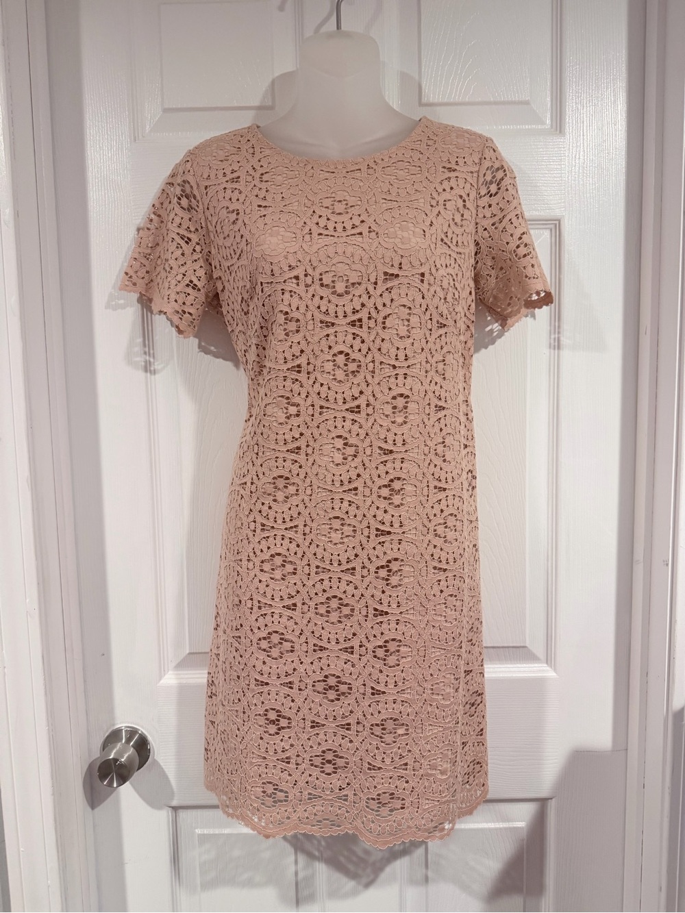 Ann Taylor Blush Crochet Lace Mini Dress